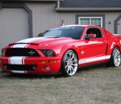 Shelby GT500 2008