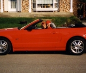 Mustang GT 2006 / Gilles Turcotte