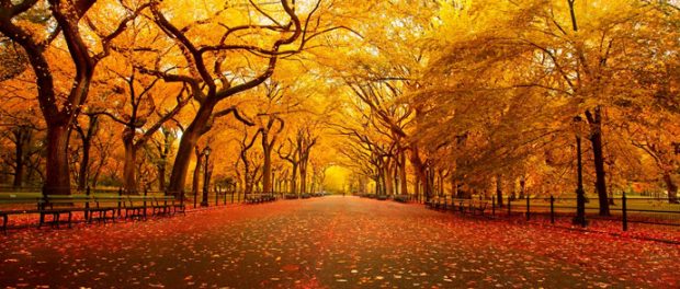 central-park-new-york-automne-blog-voyage-trace-ta-route