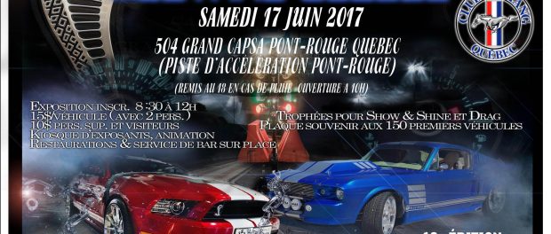 MUSTANG QUEBEC CARTON 2017