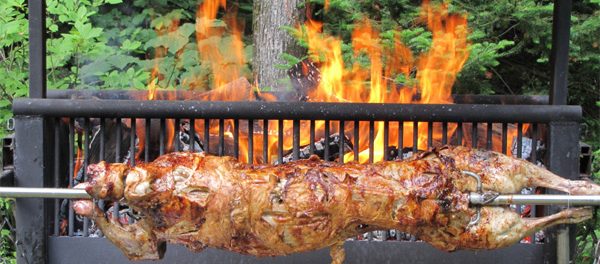 mechouiAgneau