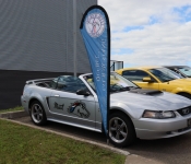 Pierre Bergeron / 2001 Mustang Convertible