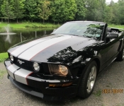 Mustang GT/CS  V8  4,6L / 2008